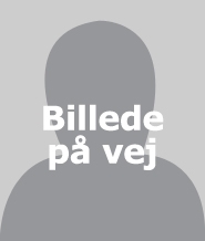 billede paa vej